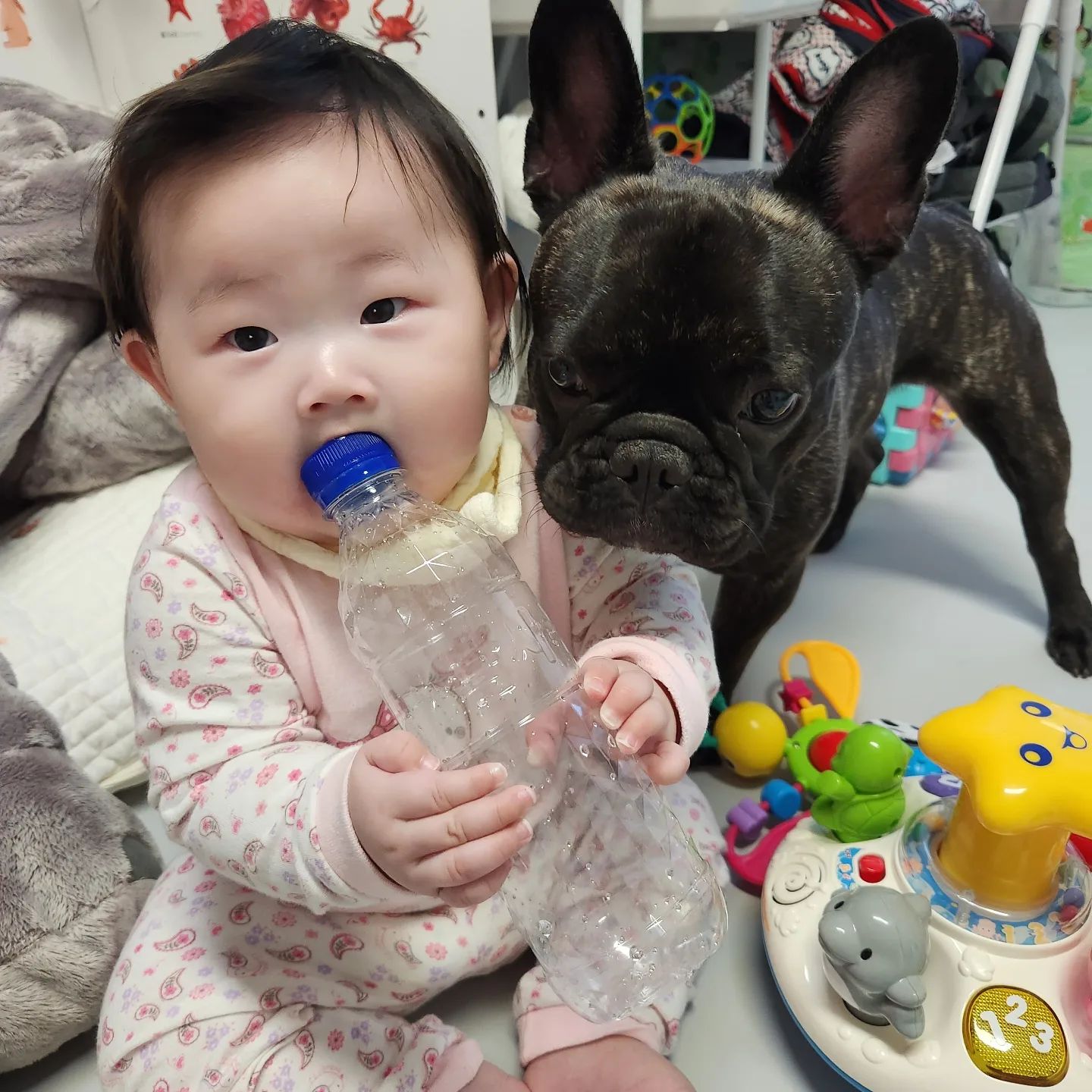 물병가지고 고만 싸워 요것들아~🐶👶
.
.
.
.
.
#애개육아 #8개월아기 #3살강아지