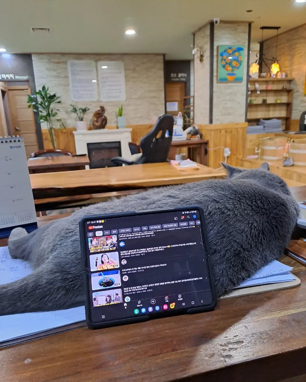 나의 핸드폰 뿌치대ㅋㅋㅋ
착한뿌뿌!!!
얌전히 거치대가 되어주네ㅋㅋㅋㅋㅋ
귀여운짜식...
.
.
.
.
.
.
.
.
.
#고양이일상 #고양이집사 #냐옹이 #いいねした人全員ファローする #いいね返し #いいね返します #좋아요테러 #좋아요반사 #팔로우 #맞팔환영 #맞팔해요 #선팔 #맞팔 #선팔하면맞팔 #선팔맞팔 #좋반 #좋아요 #팔로우 #일상 #일상스타그램 #데일리 #데일리그램 #daily #오오티디 #follow4like #fff #l4f #f4f #l4l #ootd #디엠