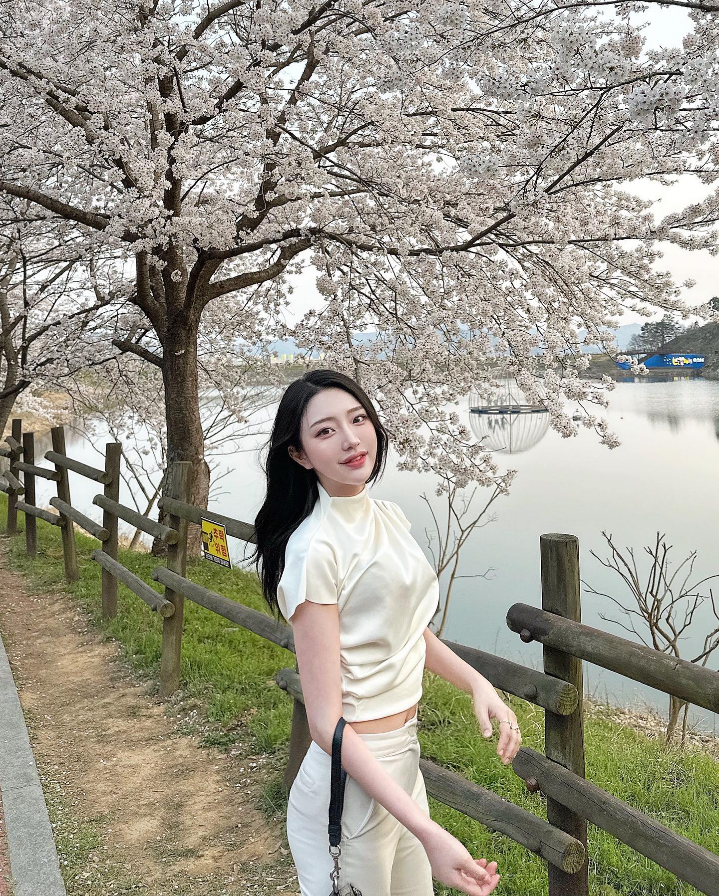콘텐츠