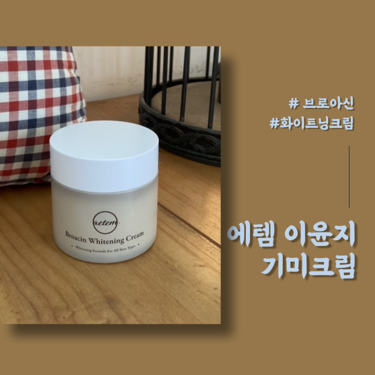 에템 이윤지 기미크림 미백크림 브로아신 화이트닝크림