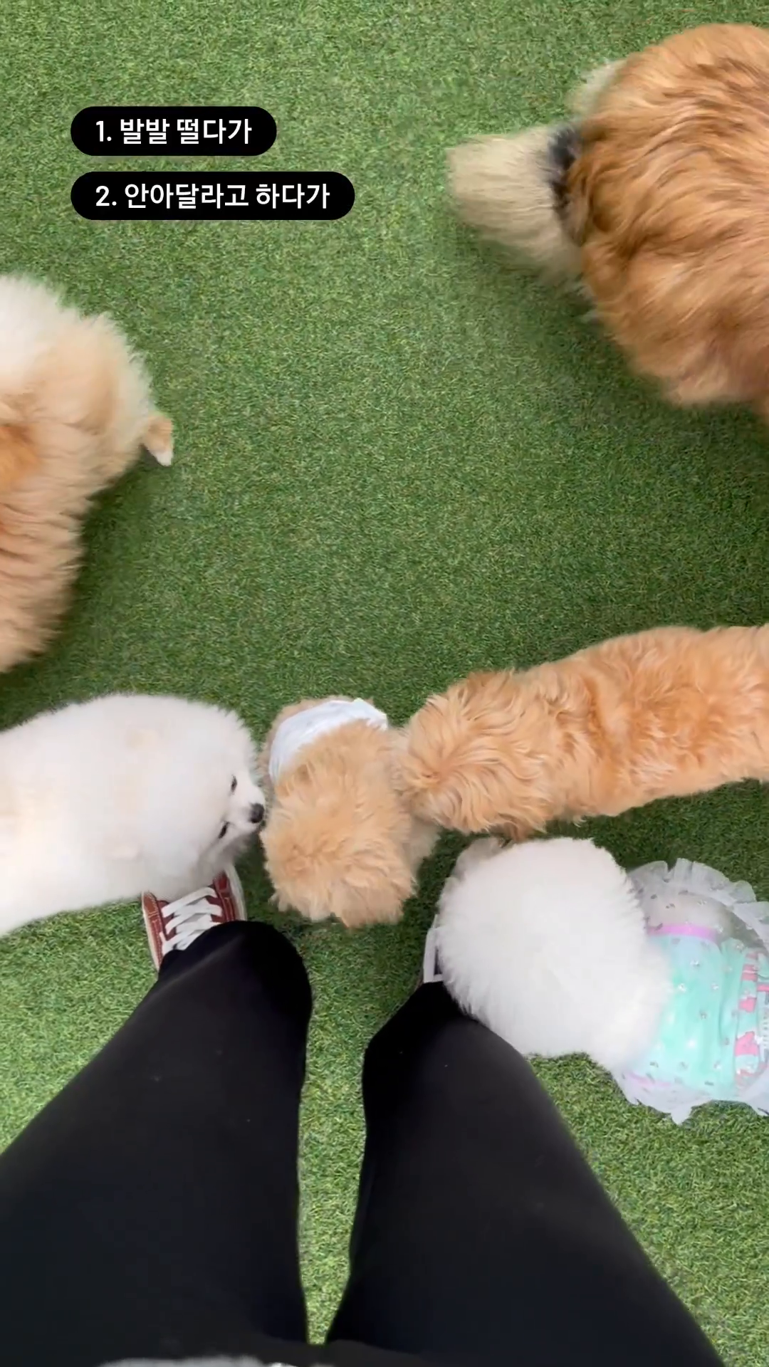 콘텐츠