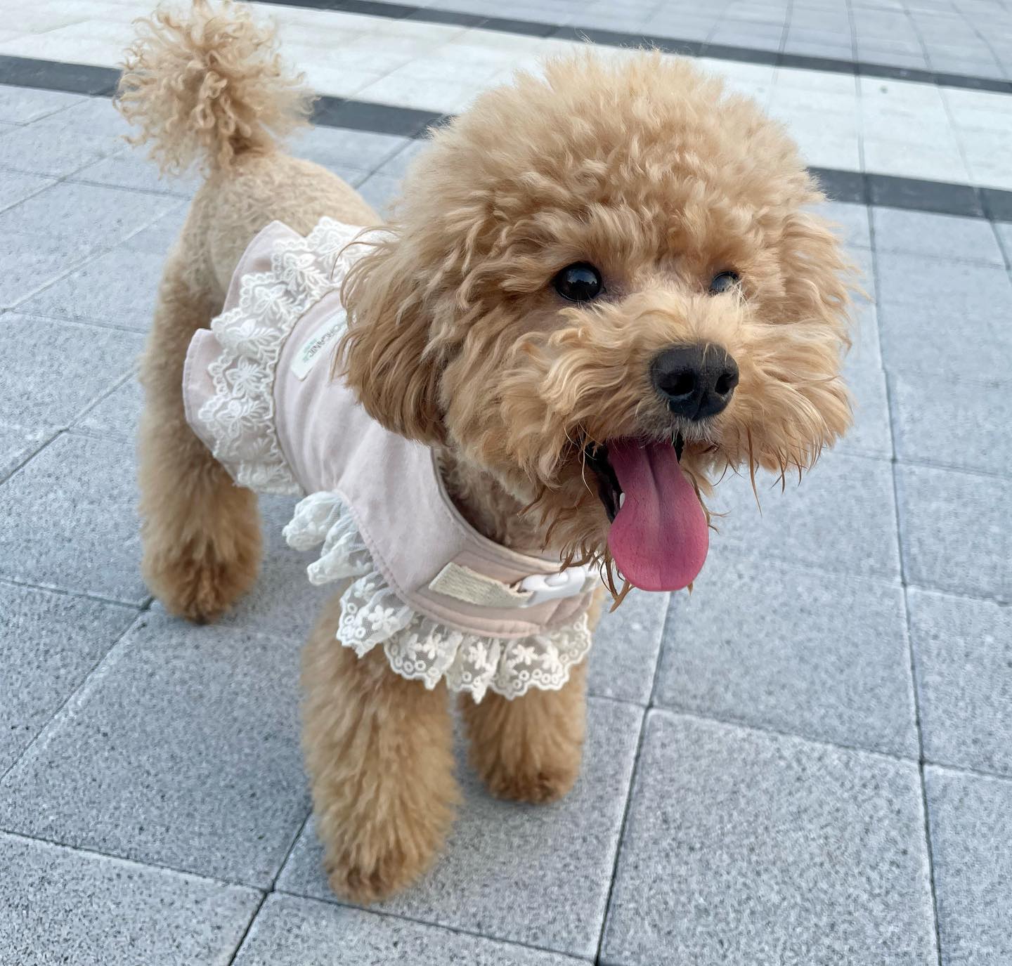 빨간 스팸 기여어❤️
보고푼 우래기❤️