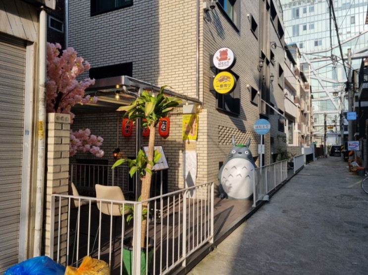 성수 밤토리⎮뚝섬역 아기자기 야키토리 맛집, 서울숲 술집