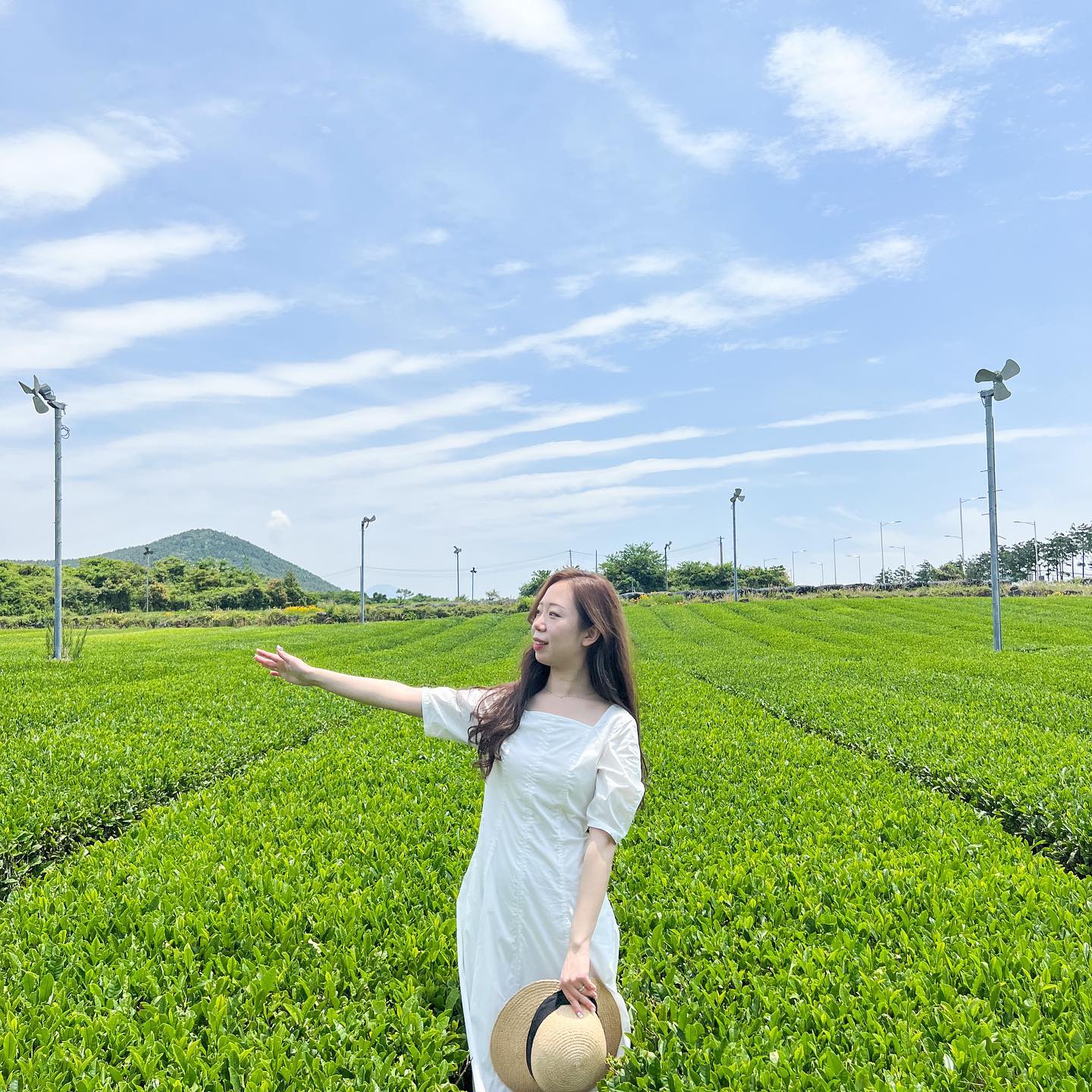 🌱제주도 오설록 티 뮤지엄
제주도에서 오설록을 아직 안가보셨다면 꼭 한번 방문해보세요!

🌿초록색 녹차밭에서 흰 원피스 입고 사진 찍기! 얼마나 예쁘게 나오게요~?
🍵 오설록 티카페에 들려 녹차라떼, 녹차 아이스크림 등 녹차로 만든 다양한 디저트를 즐겨보세요. 제주도 여행 선물로 사기 좋은 선물세트도 판매하고 있어요!
✅미리 예약하면 티 라운지, 티 클래스 등의 체험 프로그램도 즐겨볼 수 있어요.

제주도 특유의 초록초록함을 만끽 할 수 있는 곳으로 한번쯤 방문해보시길 추천드려요:)💚💚

#제주오설록티뮤지엄
#jejutravel#osullocteamuseum