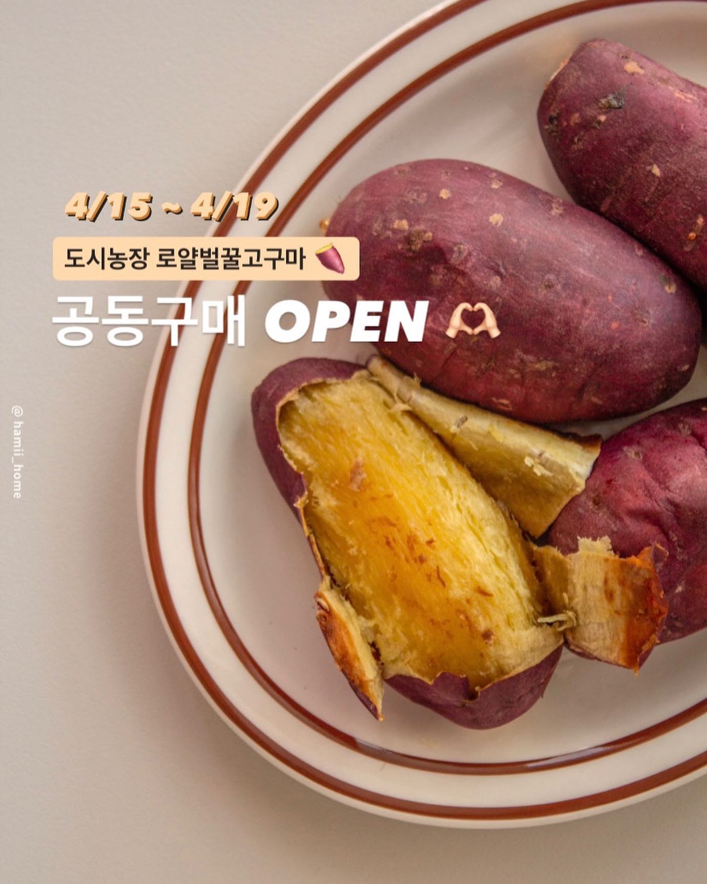 📢
로얄벌꿀고구마 공동구매 오픈 했습니다 👏🏻
#프로필링크클릭

꾸준히 찾아주시는 분들이 계시기에
벌써 6차 공동구매 🤭🤍
얼마나 맛있는지는 드셔보신 분들만 알겠죠? ☺️

나이가 한 살씩 먹으면서 정말 크게 느끼는게,
“건강한 식단을 꾸려 먹는 것”의 중요성이에요.
특별한 모임 약속이 있지 않는 이상
평소엔 가공되지 않은 자연식으로 먹으려고 노력하고있어요.

식단에 조금만 신경써도
군살이 정리되는 게 눈에 보일정도고
속도 편안 ☺️ 기분도 좋아지더라고요.
그렇다고 매번 샐러드에 풀만 먹을 순 없으니,
건강한 탄수화물도 꼭! 먹어줘야해요.

건강한 탄수화물의 대표 👉🏻 고구마 🍠
‘닭고야’라는 말이 괜히 나온 말은 아닌거 같아요 🤣

맛없는 고구마 먹으면서 
“억지로” 식단 한다는 기분 들지 마시고
맛있는 벌꿀고구마로 기분 좋고 맛있게 식단하세요.

저는 매번 삶고 찌고 굽고하는거 귀찮아서
한꺼번에 조리 후 껍질벗겨서 냉동실에 얼려 놓는데
#아이스고구마 의 맛을 알아버림 🤭🤍

📢 공구 기간 : 5/14 ~ 5/19 
👉🏻 무료배송으로 보내드립니다!
(제주도,산간지역은 배송비 붙어요🙏🏻)

#도시농장 #로얄벌꿀고구마
#공동구매 #고구마공동구매 #하미홈