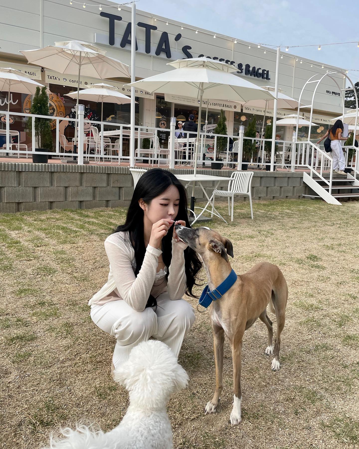 처음 본 강아지도 속는 간식 있는 척 😛