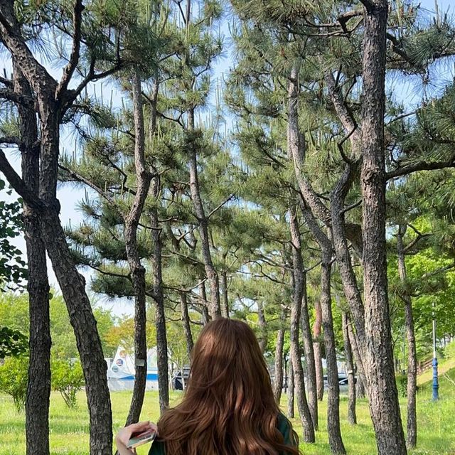 임지선 on Instagram: "🔫"