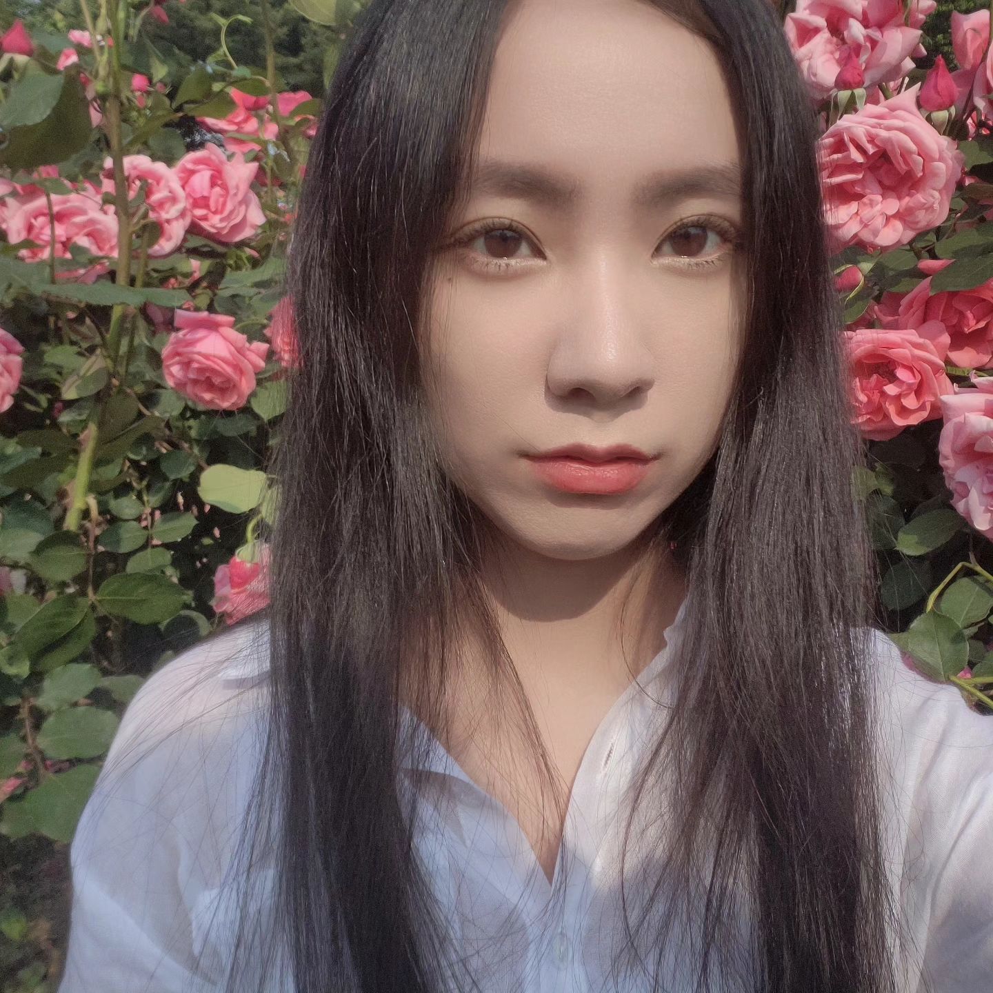#장미축제