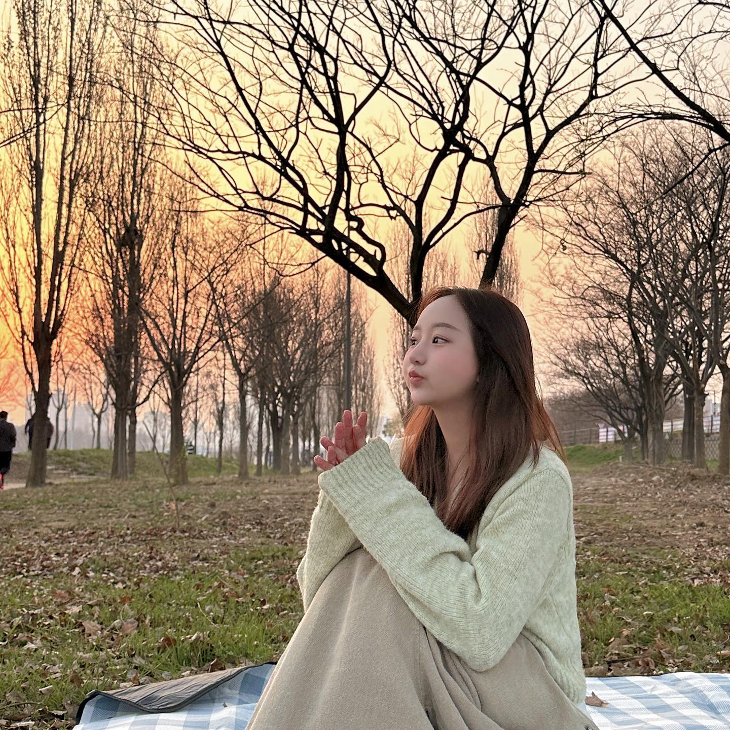 🌳🍃