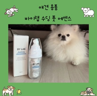 강아지발바닥습진, 건조하고 굳은살 생긴 강아지 발바닥엔 바이랩수딩풋에센스