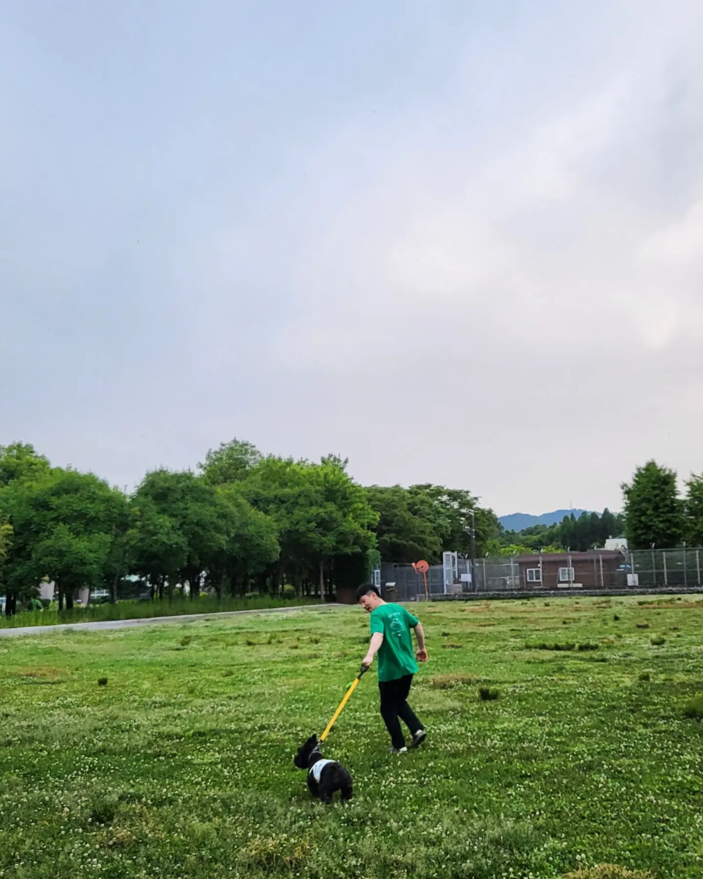 내사랑들😍

사진은 여유로워 보이지만
현실은 치열하게 열심히 뛰는중 ㅋㅋㅋㅋㅋ

#scottishterrier
#김까망 #김까망일상
