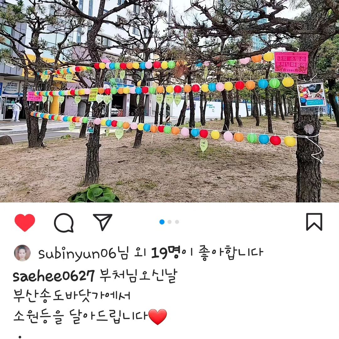 반려견들이랑 구경 가보세요~~