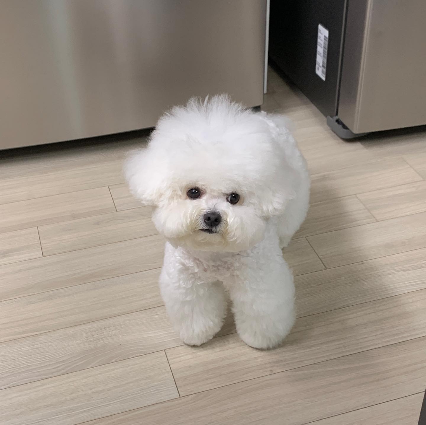 나 귀여우면 까까 하나만