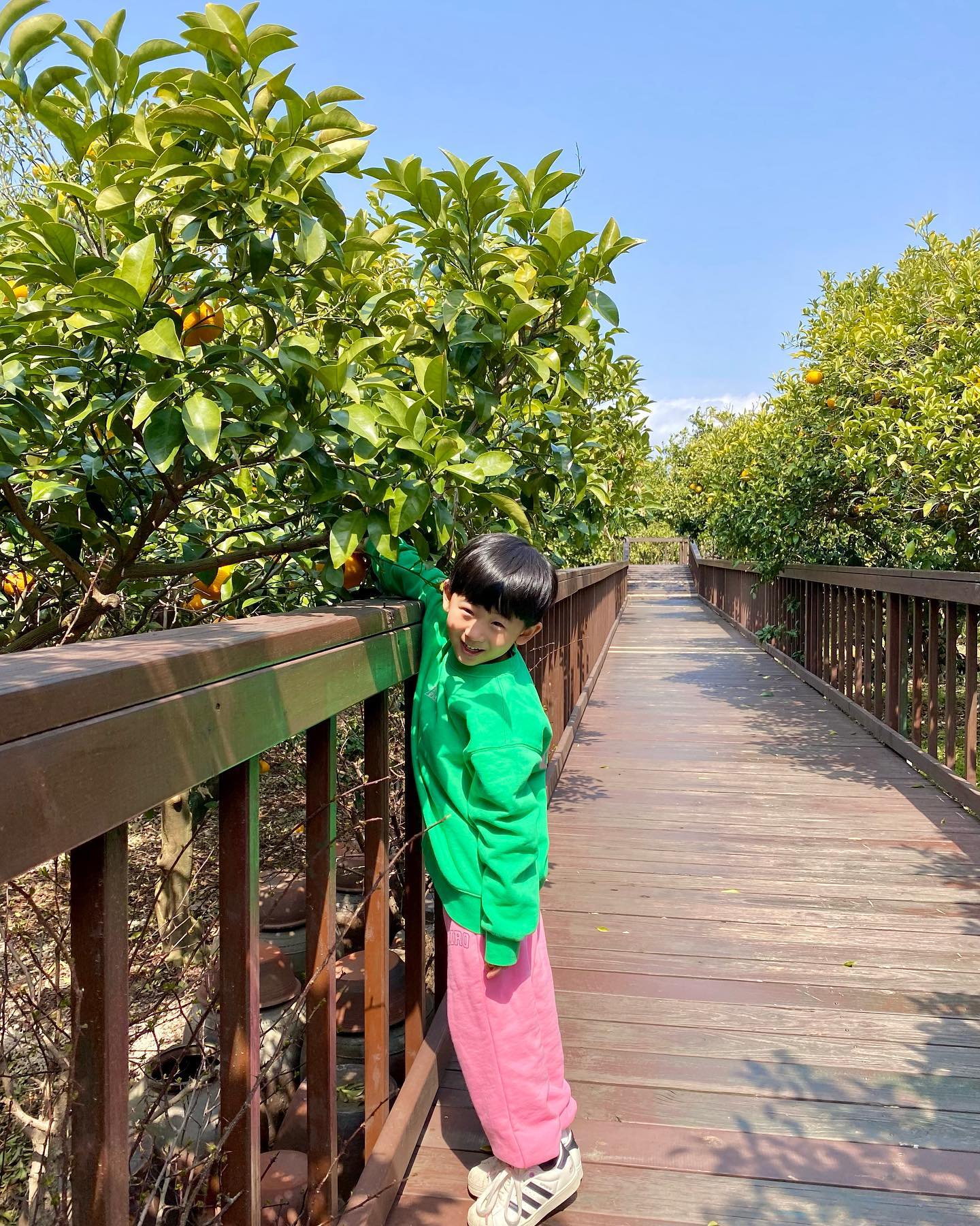 ෆ
⠀
3/14-3/18 은재네 세번째 제주여행ෆ⠀
⠀
제주여행 3일차, 숨도🌿🍊

⠀
처음 본 하귤나무는 신기하고 예쁘고🍊
동백 필 때 또 가고픈 곳🌺

이날 가족사진 찍기 진심 극한이었다🫥
⠀
나도 최근 사진 올리고 싶은데.. 
매번 이렇게 못올린 사진이 너무 많아 이번엔 꼭💪🏻

#은재네제주여행
#숨도
#하귤나무 
#제주여행
#아이랑여행 
#아이와제주
#아이와제주여행
#밀린업뎃 
#5월히브로 
#hiro_store_ 
#히로브라더스
#glgk
#g밀리