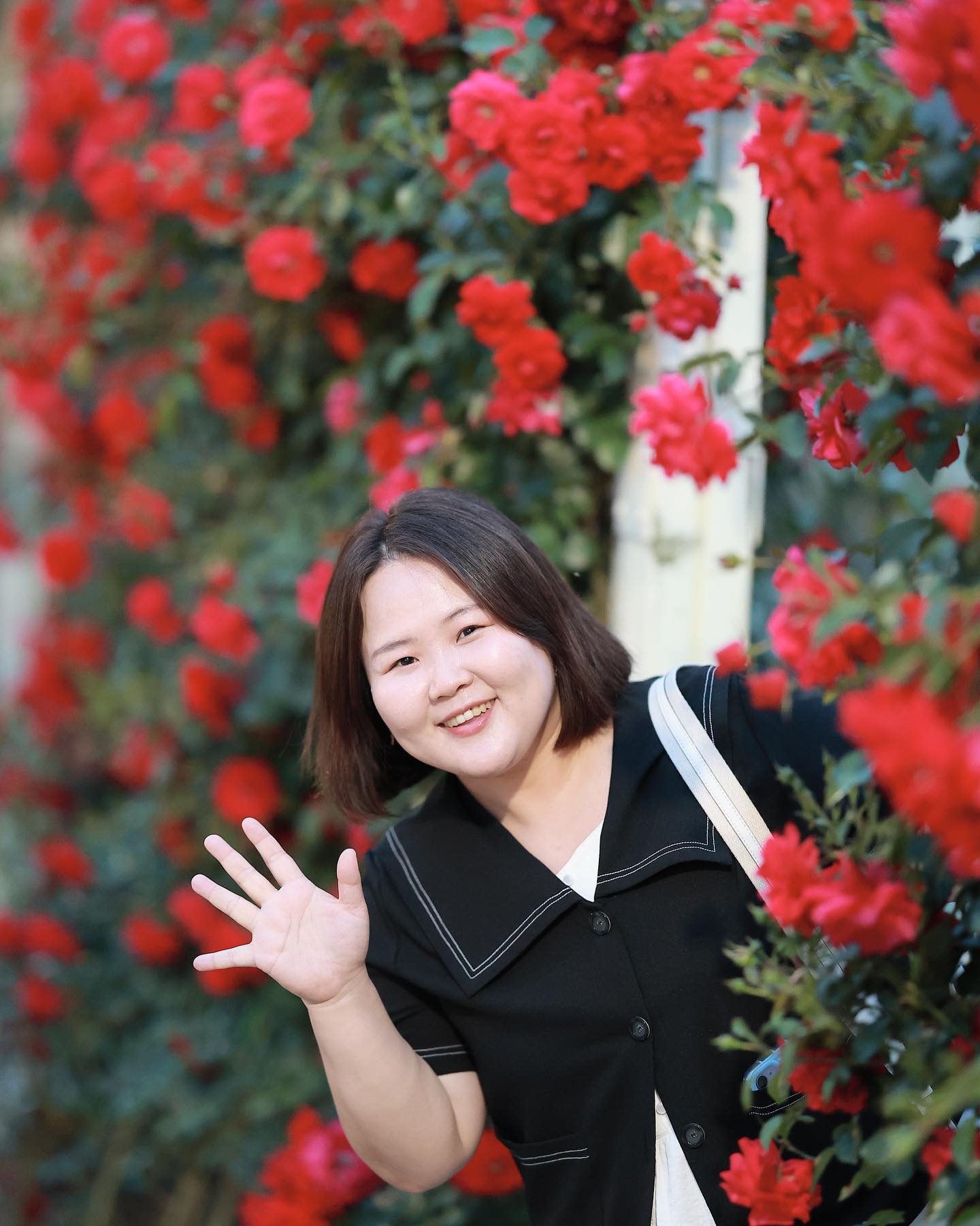 밤에 더 예쁜 장미🌹
#곡성장미축제