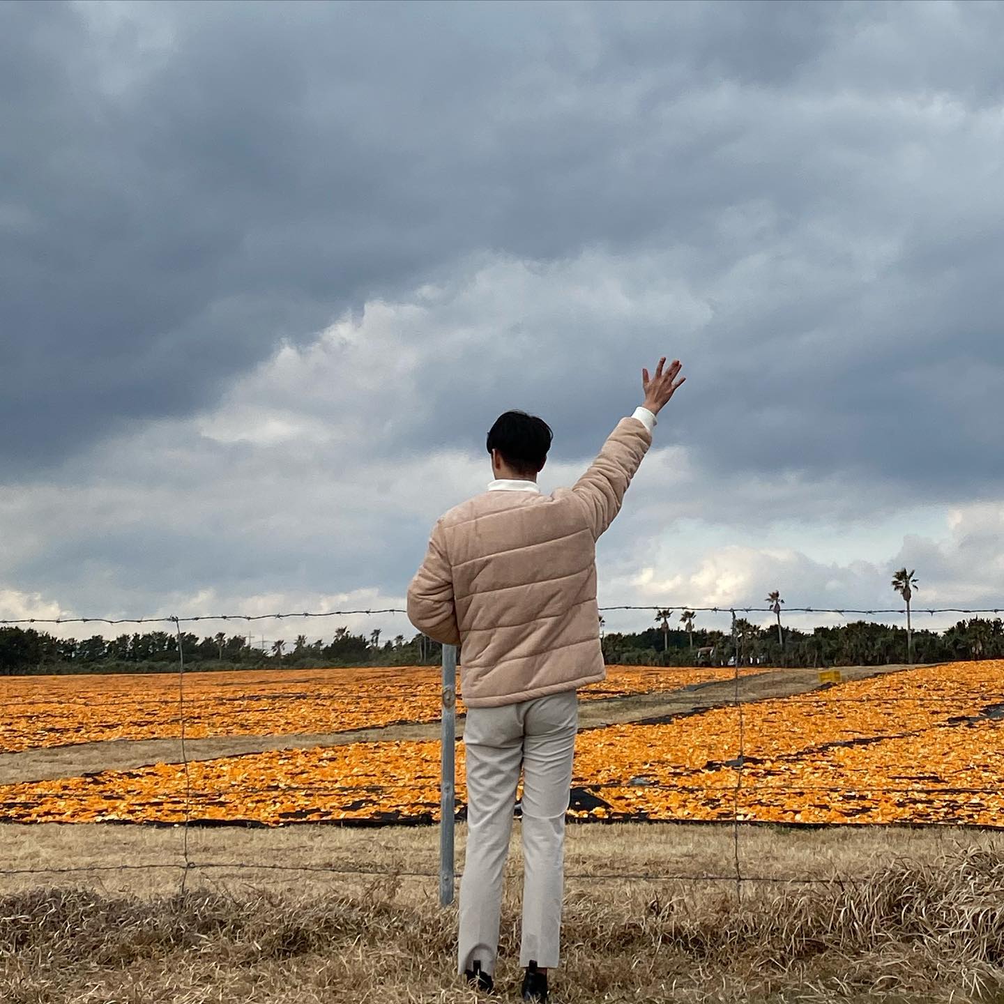 Jeju