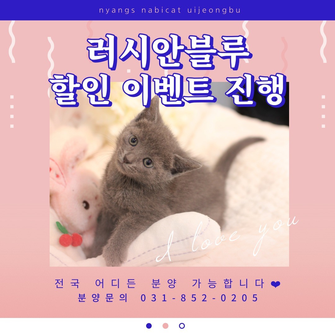 🐱5월의 마지막 이벤트🐱
러시안블루 고양이 분양 할인이 시작되었습니다! #러시안블루 #고양이 분양을 고민하고 계셨던 분들 지금이 바로 기회입니다!
바로 연락주세요!
.
.
📞010.3025.8812
.
📍경기도 의정부시 금신로296번길 58, 1층
📌365일 연중무휴/24시간 상담가능
🚗매장 바로 앞에 주차가능
.
⏰분양문의가 많고, 분양이 빨라요! 지금 바로 연락하세요.
.
#러시안블루분양 #지금바로 #연락주세요 #전국고양이분양가능 #최대할인