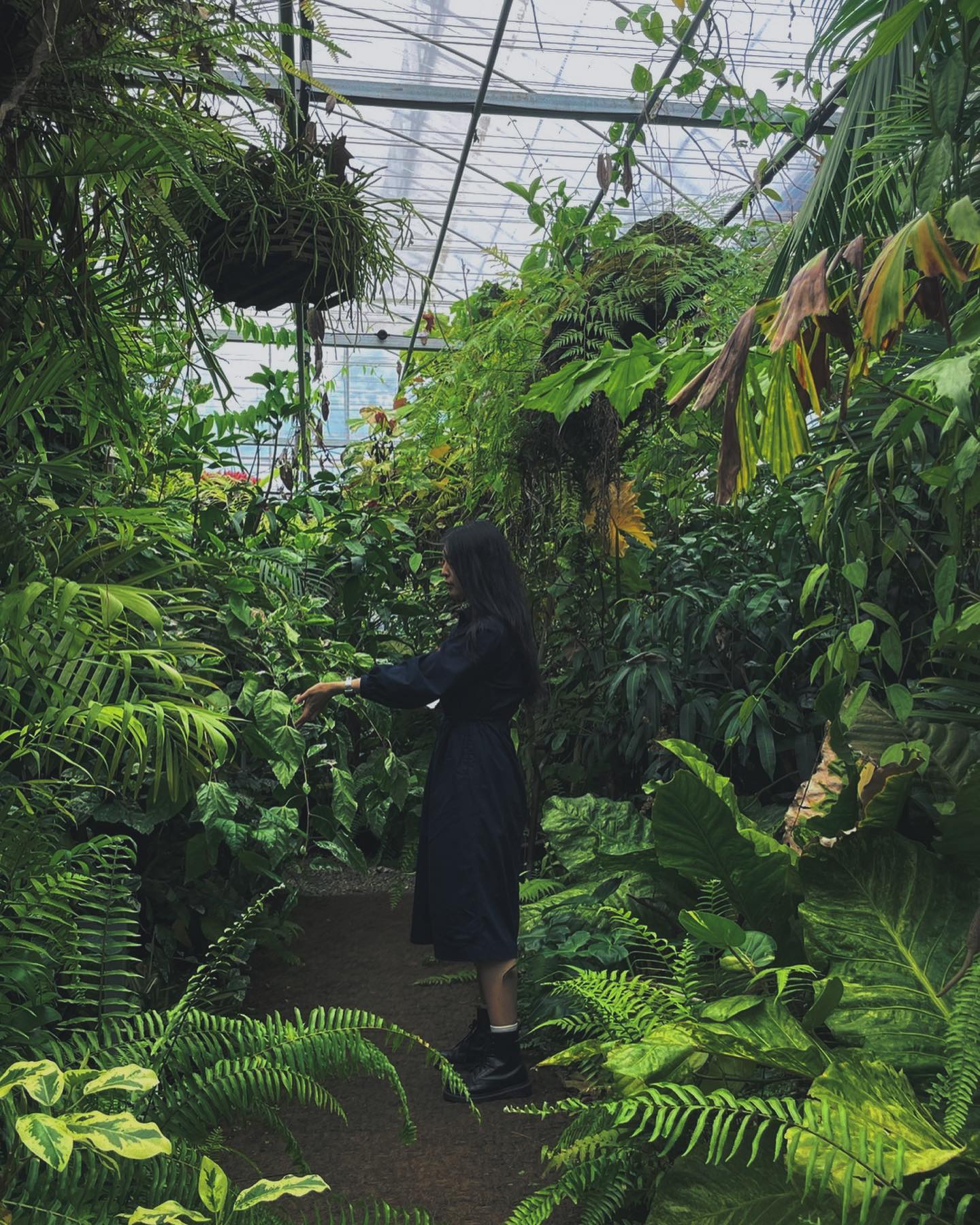 비오는 주말의 식집사 모임🌿
초록은 언제나 옳지!💚