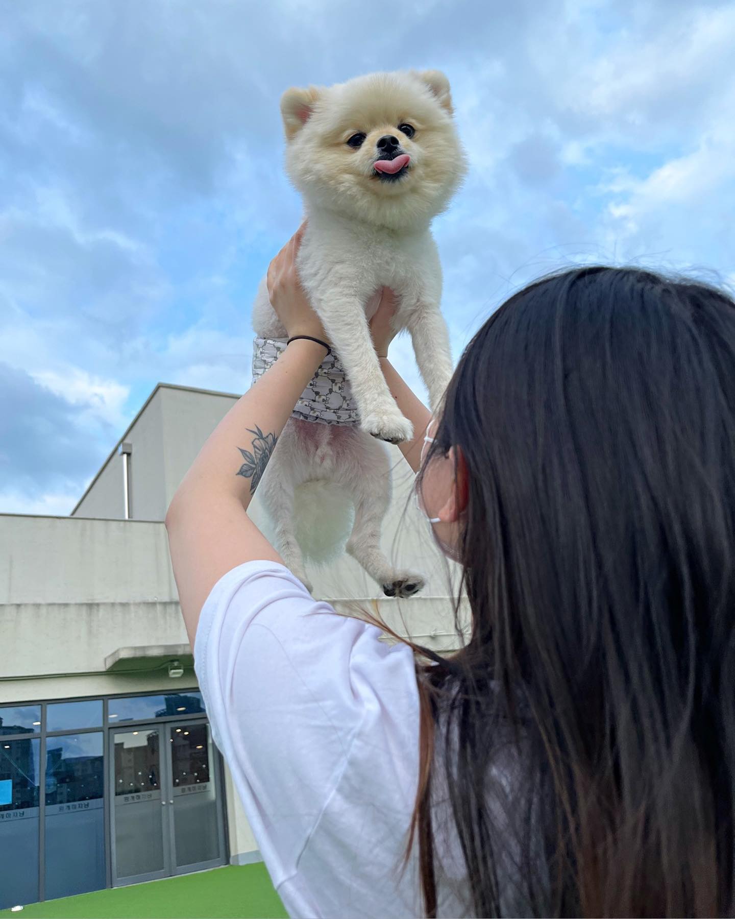 오랭망에 밖에 나들이~~ 너네들이 잘놀면 되찌머🐶하트 혀 남해🩷 도비된 꼬미🐶❤️아주그냥 하루동안 아무도없어서 통째로 빌린느낌👍🏻 다음엔 캠핑하로가야지🤍🤍