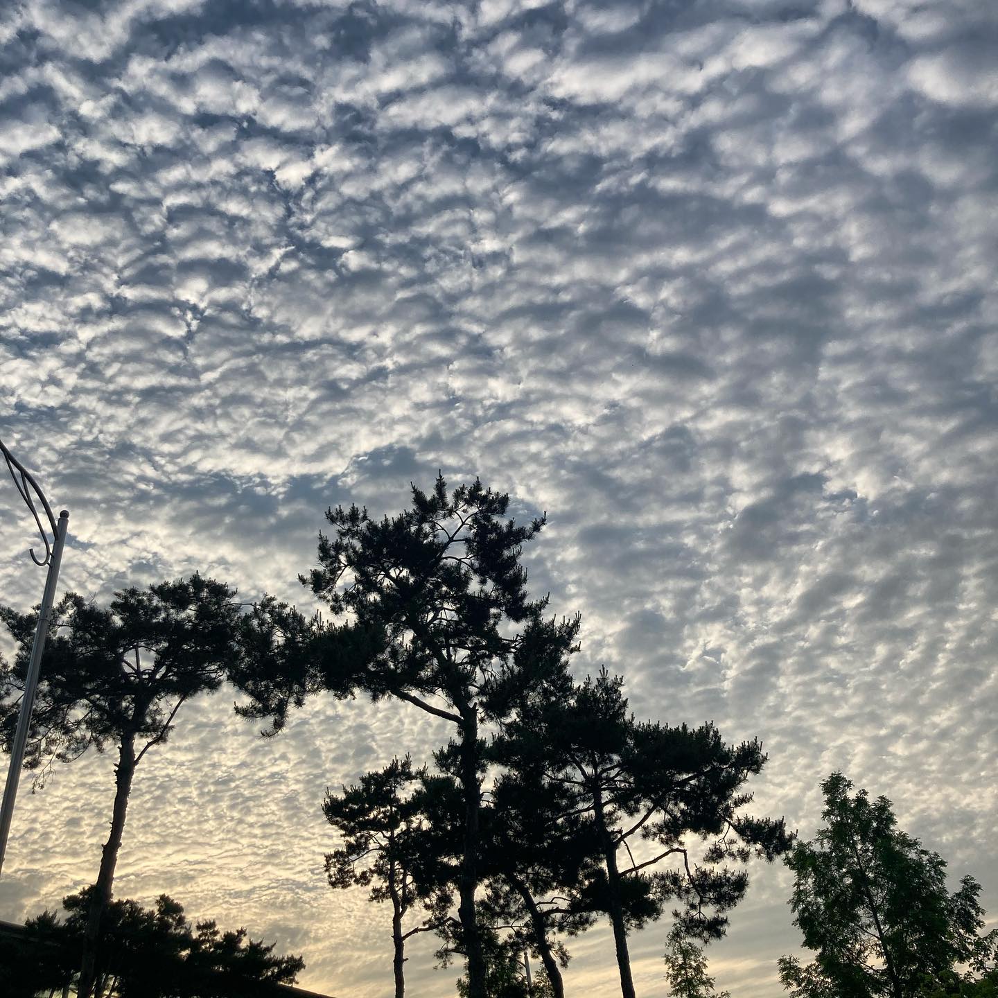 이게 무슨 구름이었더라?? ☁️
