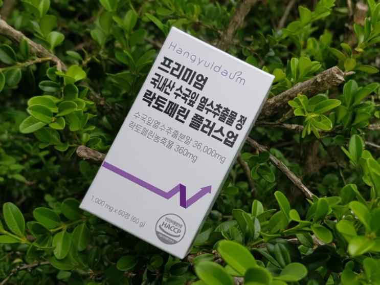 다이어트와 피부미용을 한번에 - 프리미엄 수국 락토페린 플러스업
