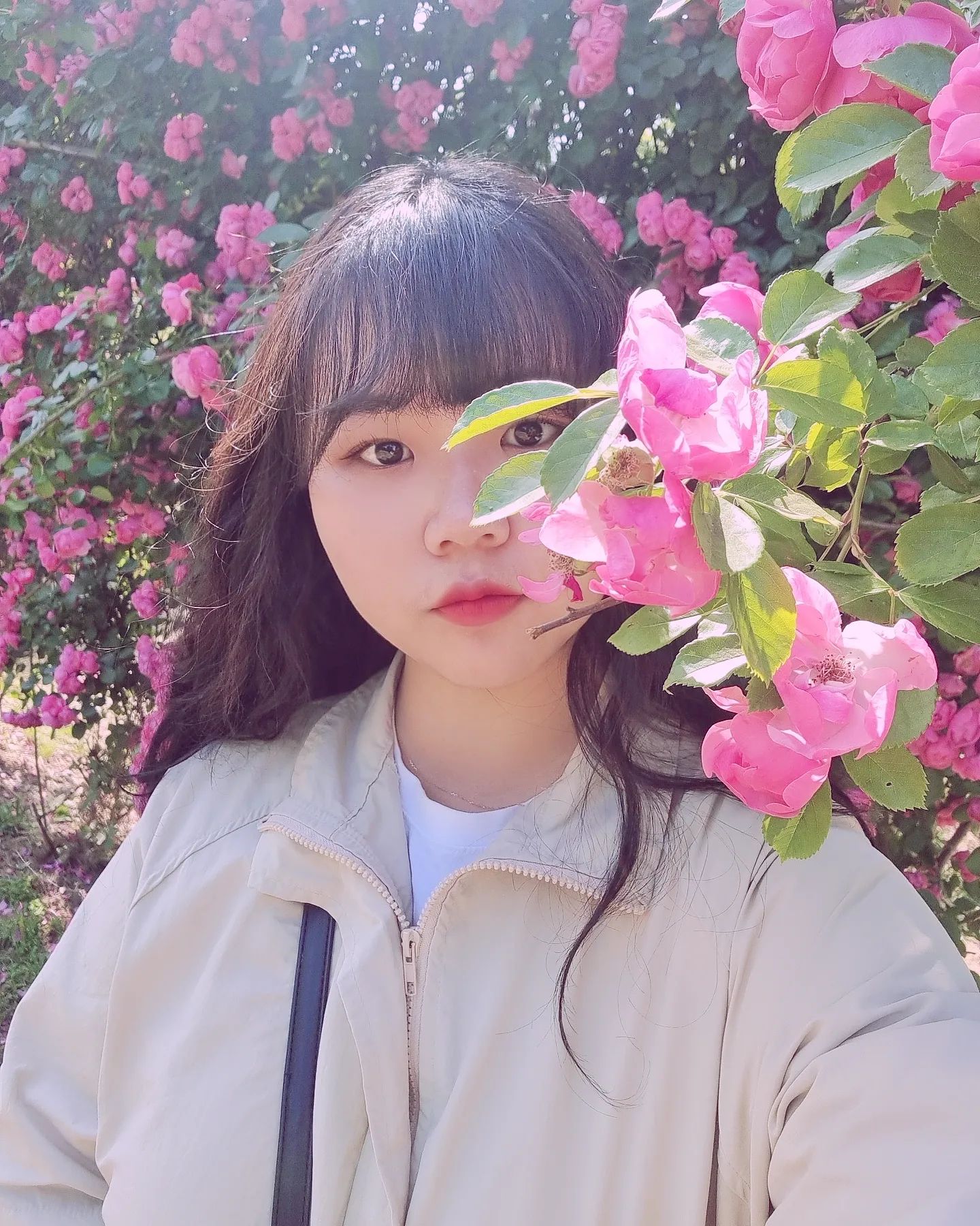 #병알커플
⠀
⠀
뭔가 잔뜩 썼다가 너무 무거운 것 같아 싹 지워버렸는데요😀
요지는...
둘 다 집에서 잠옷 입고 뒹구르르하는 데이트(?)만 너무 많아서
앞으로는 종종 제 일상 얘기도 올라올 것 같다 !
정도입니다😉✨️

오빠는 회사-집-회사-집에 사진도 거의 안 찍지만
저는 가끔 촬영도 나가고 사진을 찍어야만 하거든요🤣ㅋㅋㅋㅋ

그래서 오늘은 #장미스냅 촬영지 사진들 가져왔어요🫶🏻
장미축제하는 곳들처럼 엄청 크지는 않지만
간단히 꽃 구경하구 사진 찍기에는 괜찮더라구요 !
#선유도 가 가까워서 그쪽까지 구경하기에도 좋구요 :)

#꽃스냅 을 참 좋아하는 1인인데
올해는 비가 많이 온다고 해서 꽃+우중촬영을 준비해볼까 생각중이에요 !
예쁜 곳 다녀오면 또또 공유할게요🥰❣️
⠀