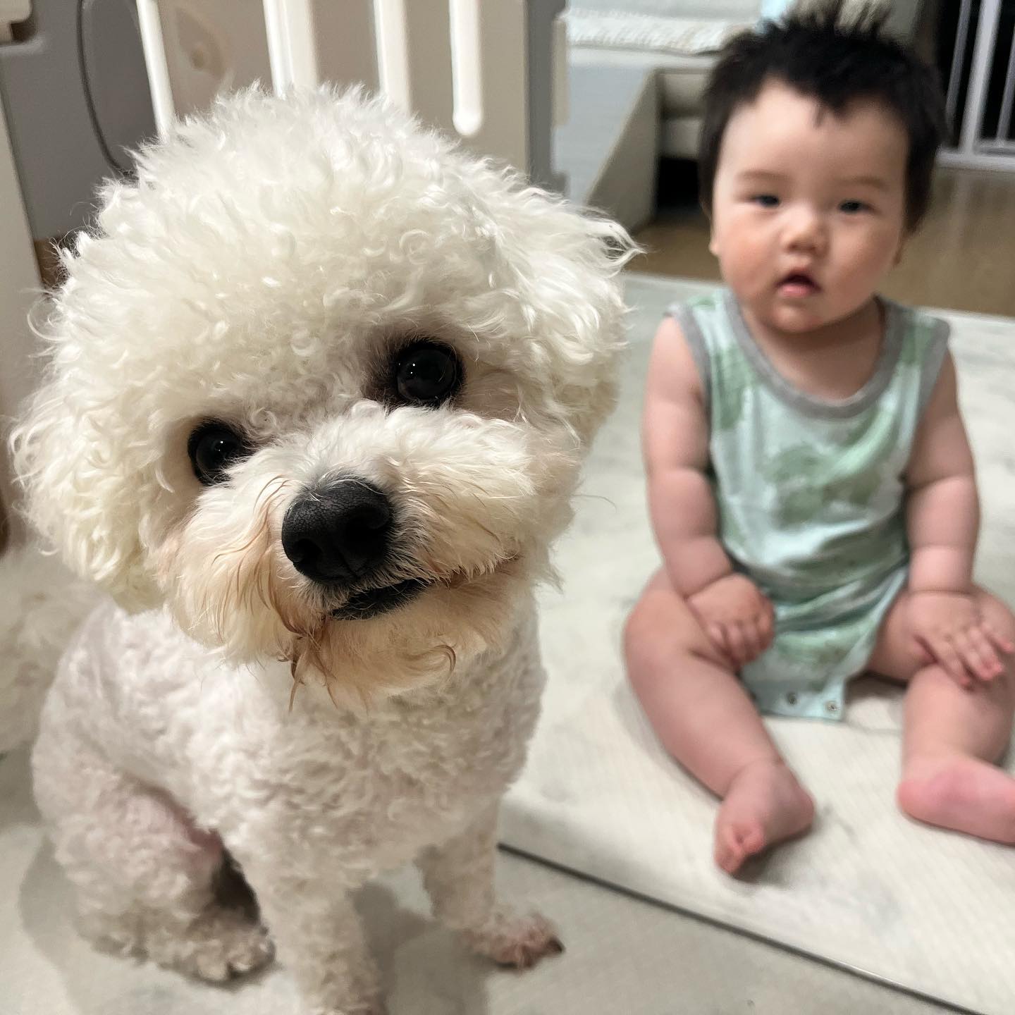 엄마바라기 두아들