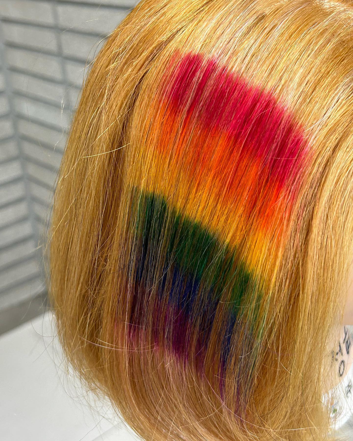 무지개무지개 얍-🌈
