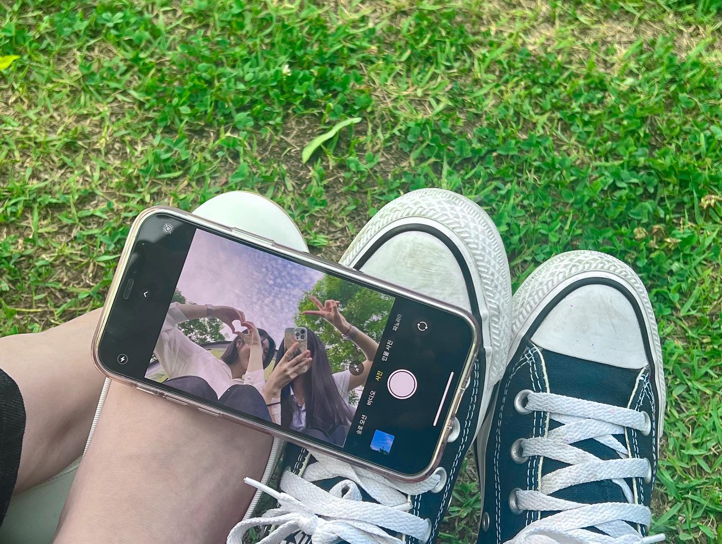 🌳