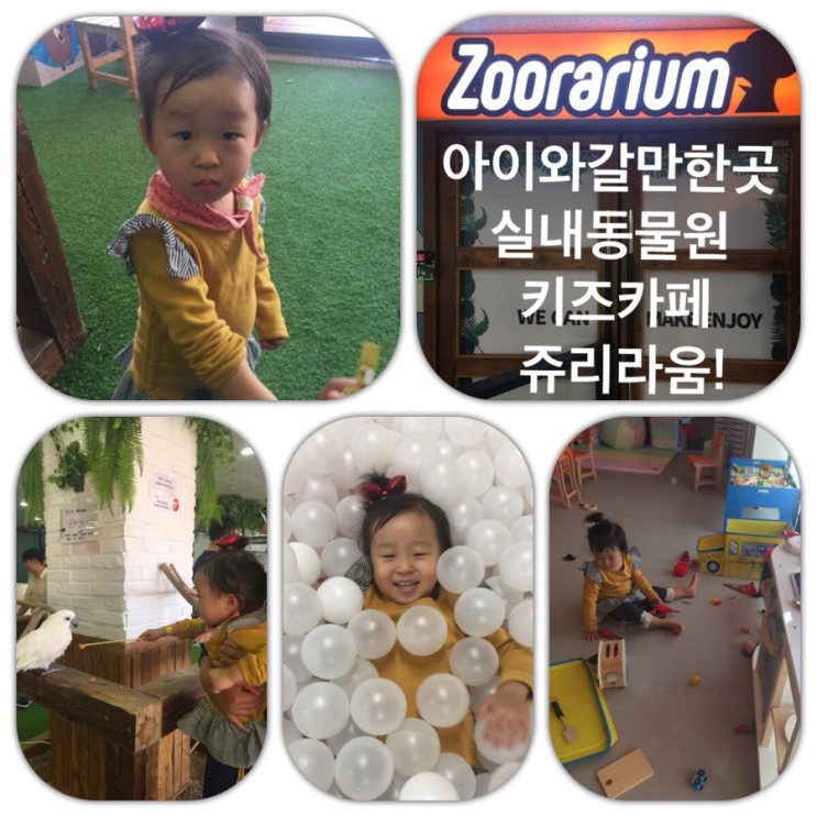 아이와갈만한곳 실내동물원 키즈카페 쥬리라움!