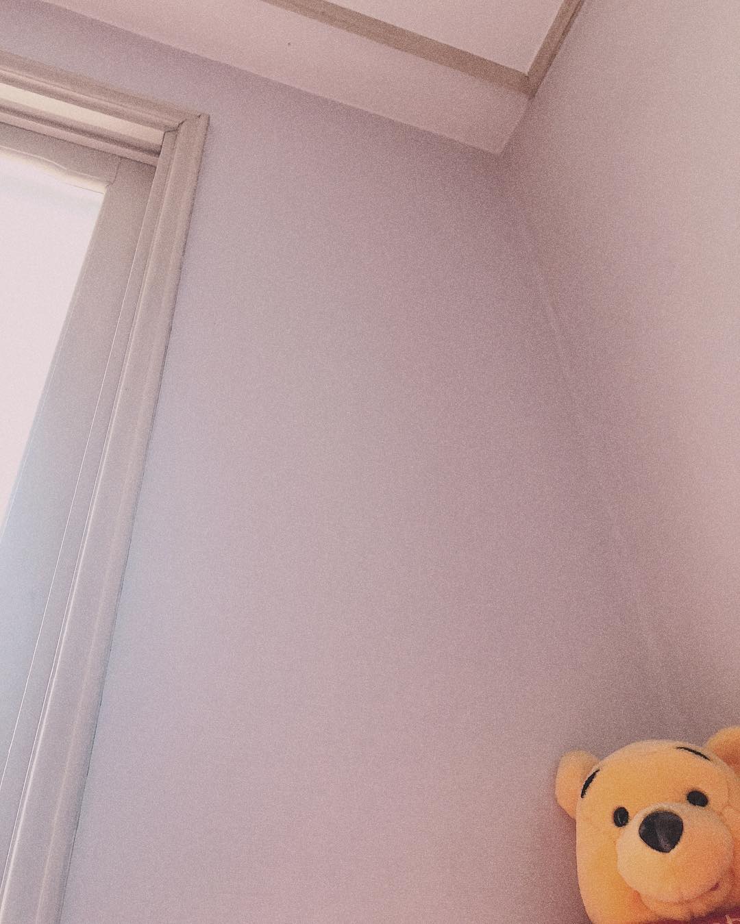 안농 푸우,