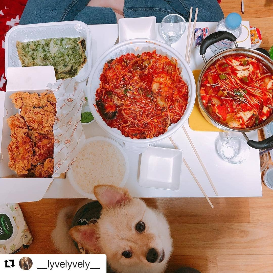 리그램 밥상 맛있게 먹겠습니다❤
#요리는제가하께요 #잉스타를부탁합니다 #겨르바

#Repost __lyvelyvely__ ・・・
#２０１８１１３０
.
.
지난주 금요일 만찬
너무 배고파서 그런가 싹쓸이 못해서 아쉬움😅
오전부터 감자탕 해물찜 아구찜 선택장애
구렇지만 뽀야아아안 아구살을 보는순간 픽!!
치킨은 별로라는 그녀를 후참의 세계로 인도😬
이미 둘이먹기에는 많은데도 국물이 없다며 추가한 순두부까지 먹부림 끝판왕
.
.
#겨르표순두부 #아구찜 #후참
#이와중에락이시강 #독스타그램 #멍스타그램 #개스타그램 #견스타그램 #펫스타그램
#doggy #dog #dogstagram #petstagram #puppy
#먹스타그램 #맛스타그램 #푸드스타그램 #술스타그램 #맛있다그램
#foodstagram #instafood