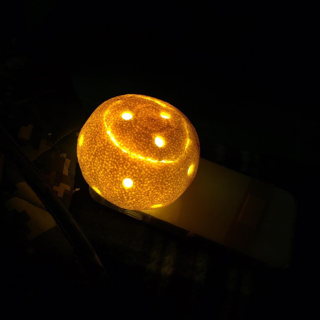 친환경 귤드등