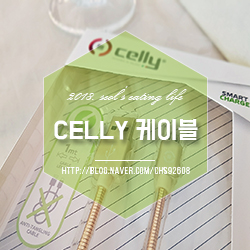 USB케이블 튼튼한 celly 스네이크 메탈릭이 딱이야