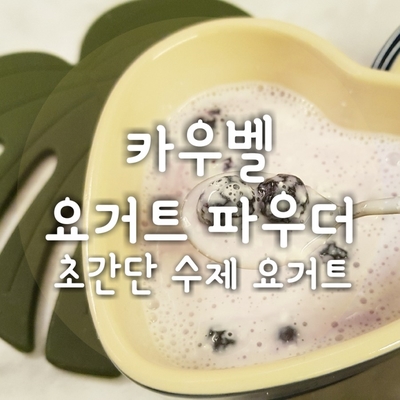 집에서 수제요거트 만들기 카우벨 요거트파우더만 있으면 참 쉽다