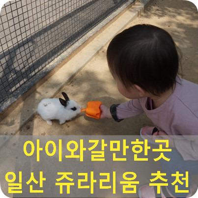 일산 아이와갈만한곳 추천 ! 쥬라리움 실내동물원과 야외피크닉까지 한곳에서~!