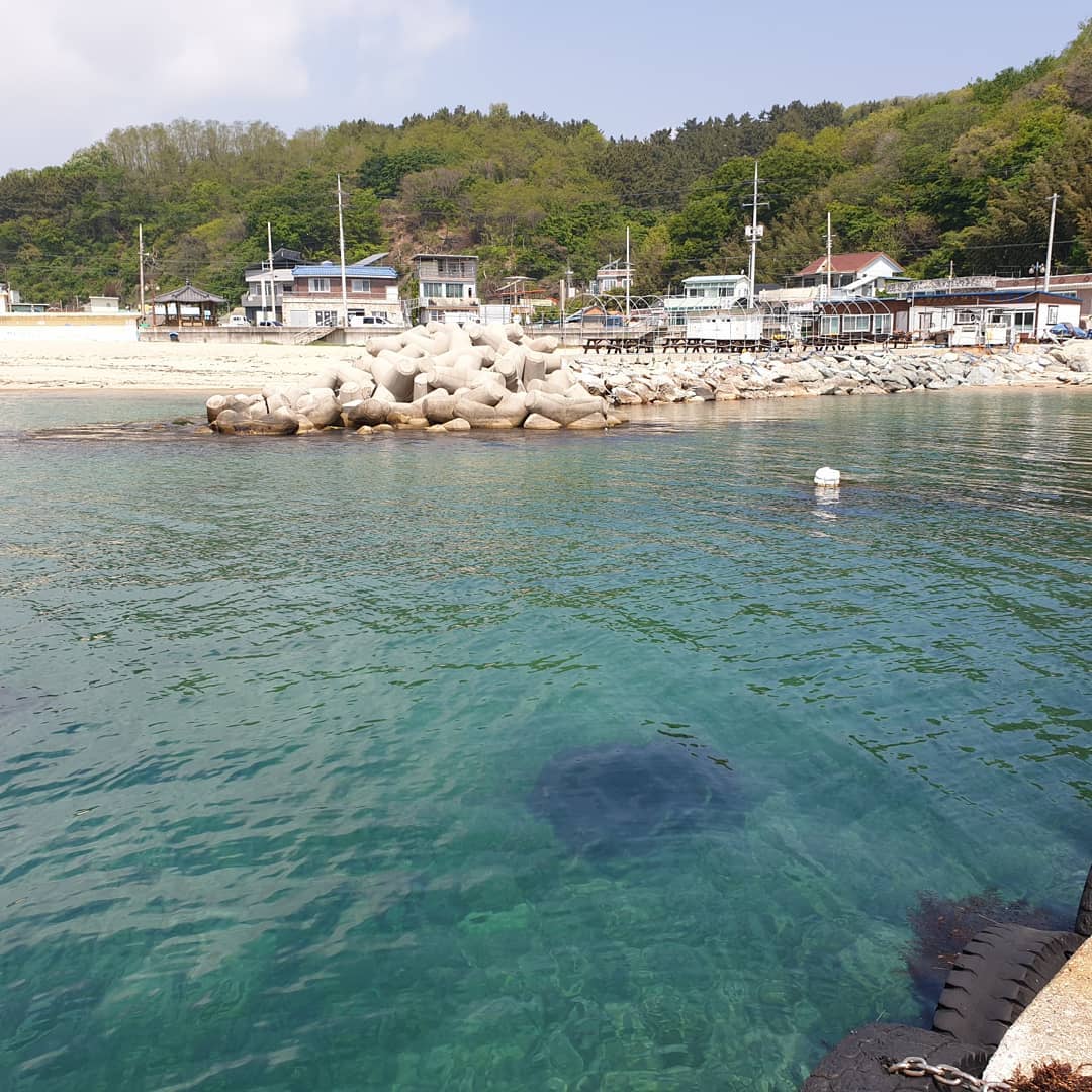 고요한 #포항바다 ...♡
포항바다만의 고요하고 평화로움이 좋아서
늘 다시 집으로 돌아가기 아쉬운 곳.
또 올게!