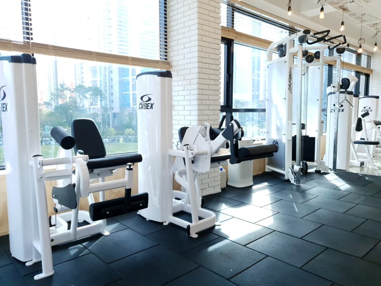 연희동헬스 청라 개인 트레이닝 PT 엑스포스짐 : 운동 시작이 반이다!