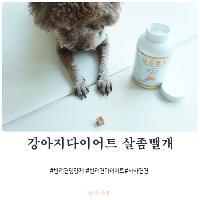 강아지다이어트 살좀뺄개 기호성좋으니 효과도 업