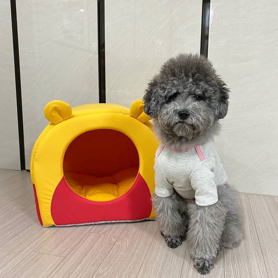 Ye-seul Kwon on Instagram: “2020에브리데이푸 캠페인✨ 사랑스러운 곰돌이 푸 굿즈들이 잔뜩 나왔는데 로이도 맘에 들어하는 중💛 곰돌이 푸 뿐아니라 티거, 피글렛, 이요르 굿즈도 많아서 아주 쥬아 . 매주 다양한 이벤트와 선물을 들고 찾아갈 예정이니 자세한 내용이 더욱 궁금하면…”