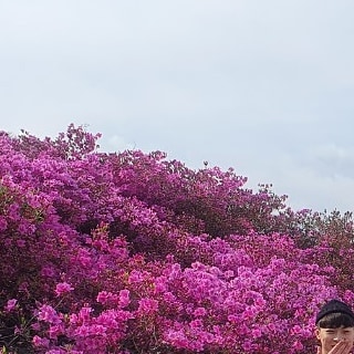 숨은승규찾기