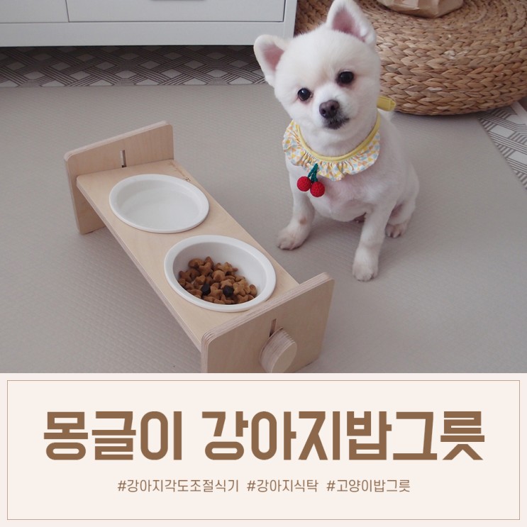 강아지밥그릇 높이조절식탁 몽글이원목식기 추천