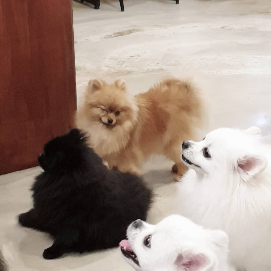 가자 애기야