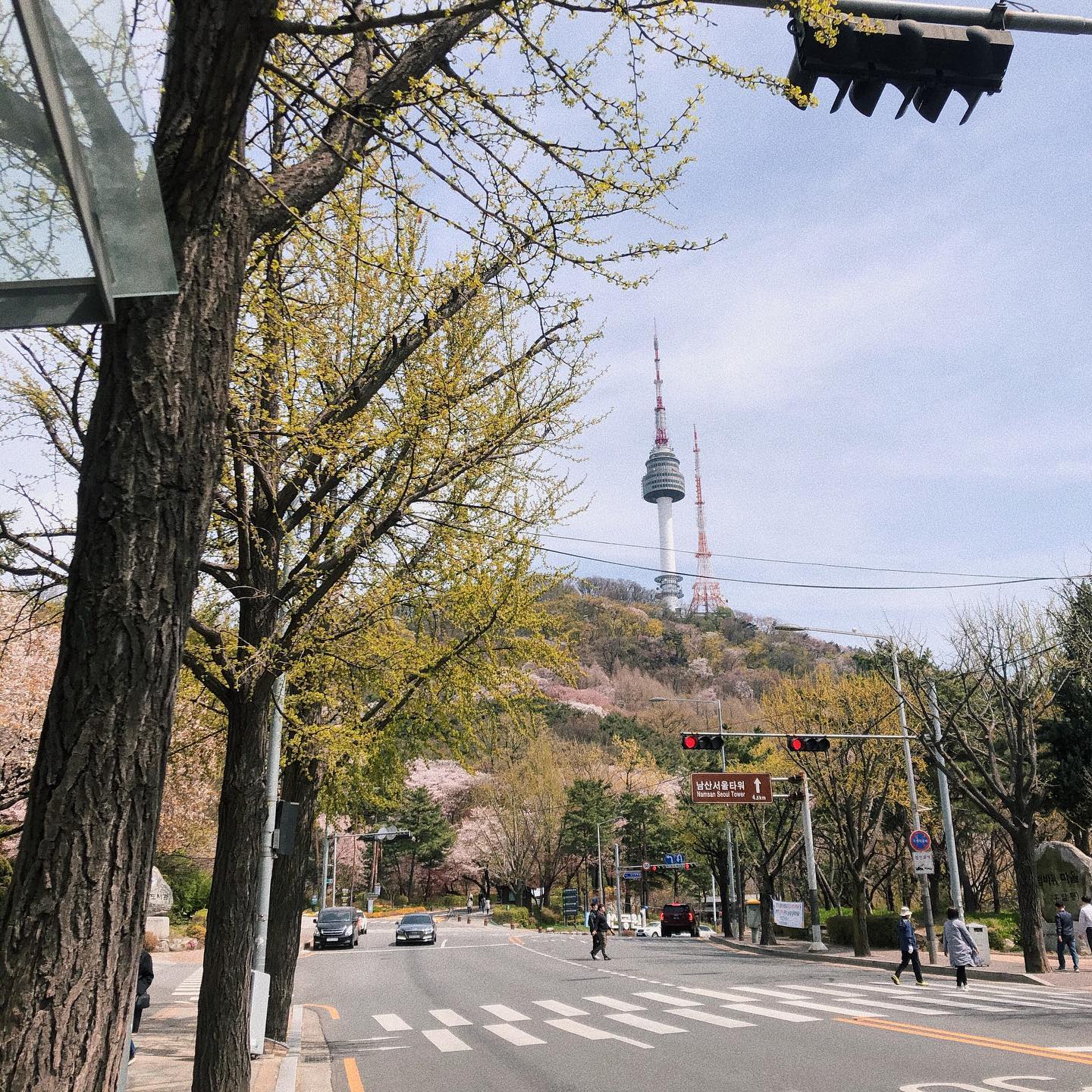 콘텐츠