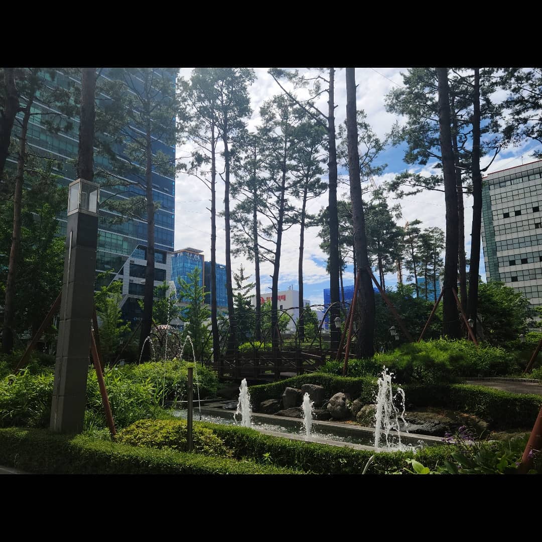 사무실 앞 풍경
이국적인 분위기,, 😍

날씨 너무 좋아요~~
오늘 하루도 화이팅 👍