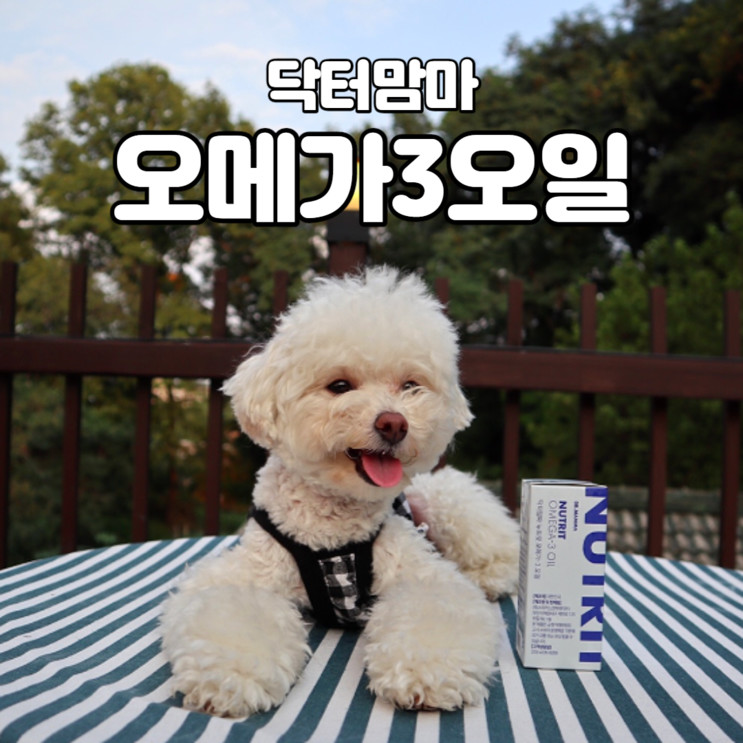 강아지오메가3 산패걱정없이 안심하고 먹일수있는 <닥터맘마 오메가-3오일>
