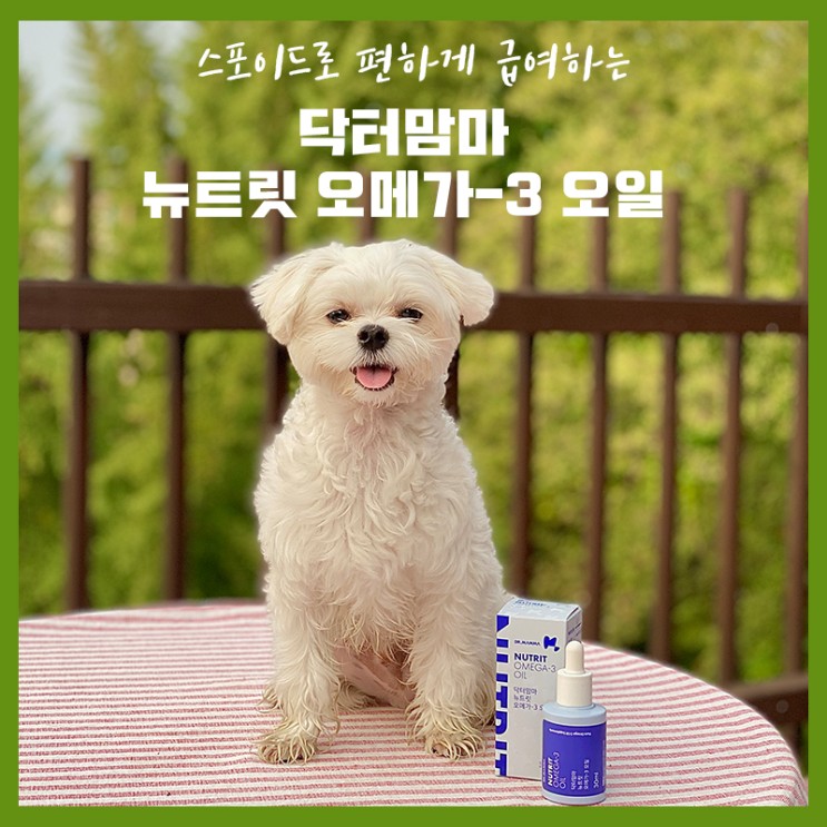[닥터맘마] 강아지 오메가3 : 스포이드로 편하게 급여하는 닥터맘마 오메가-3 오일