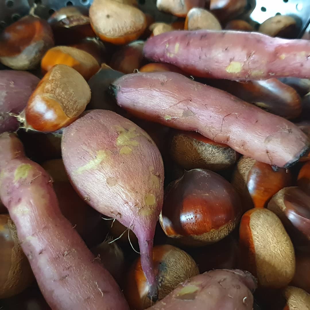 손가락 쥐나것당
이걸 까먹을수 있을까?
하여튼 우선 찌기는 했는데...
과연 먹을지?

신랑님이 주워온 밤과 울엄마 밭에서 캐온 고구마