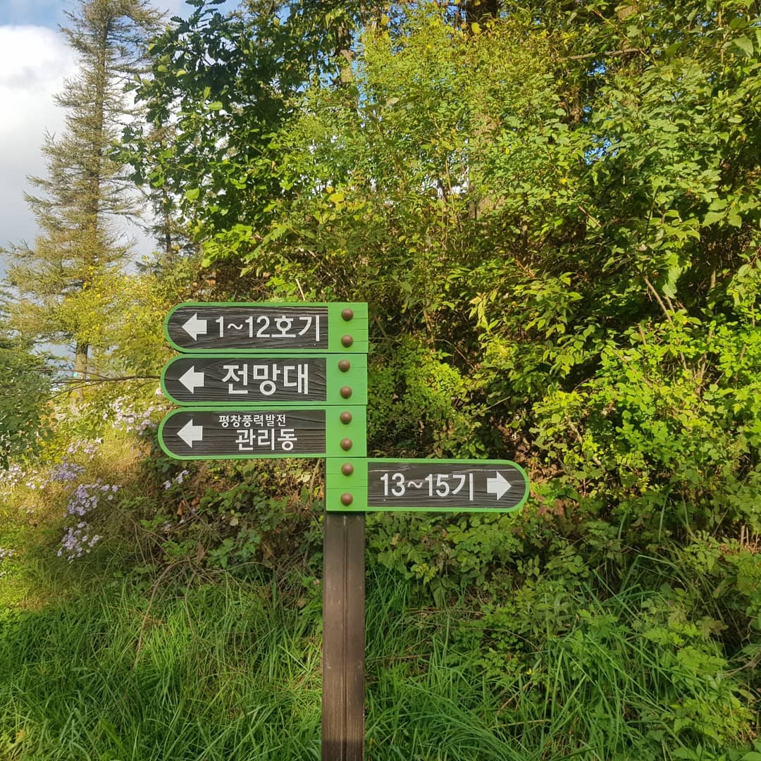 햇살이 부서졌던 평창 육백마지기~~
숙소에서 평창 투뿔 한우~
즐거웠던 9월 여행의 기억~

#평창 #육백마지기 #다음엔은하수보러 #한우 #한화리조트 #강원도여행