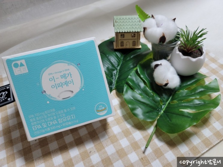 오메가3를 꼭 챙겨먹어요 이메가EPA(E-mega EPA)